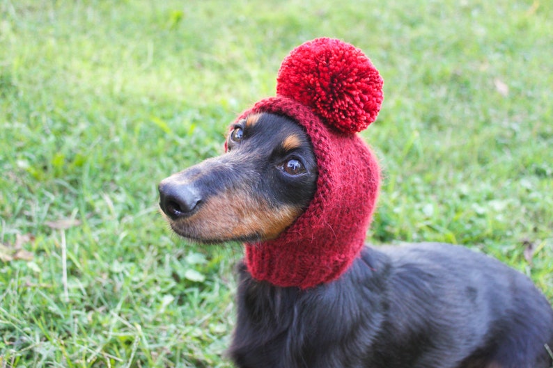 Red Dog Hat in All Natural Baby Alpaca Yarn image 4