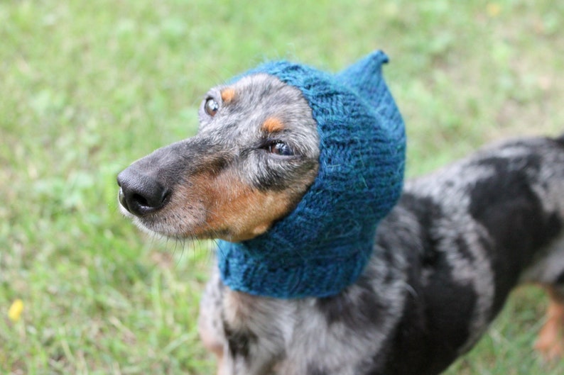 Dog Hat in Dark Turquoise Made Out of All Natural Alpaca Yarn image 4