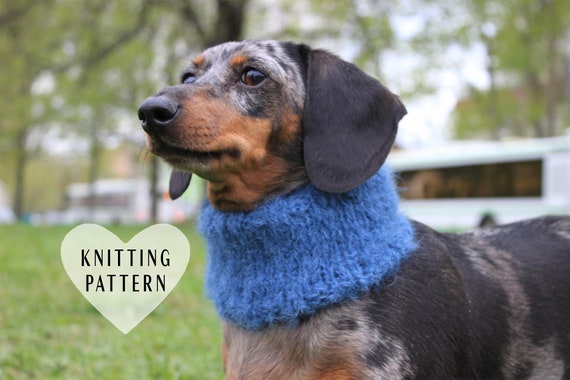 mini dachshund dog sweaters