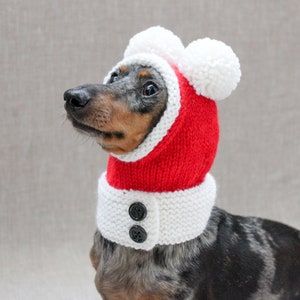 Santa Dog Hat, Dog Santa, Mini Dachshund Santa Hat, Red And White Dog Hat, Dog Gift, Dog Fashion, Dachshund Clothes, Small Dog Beanie image 4