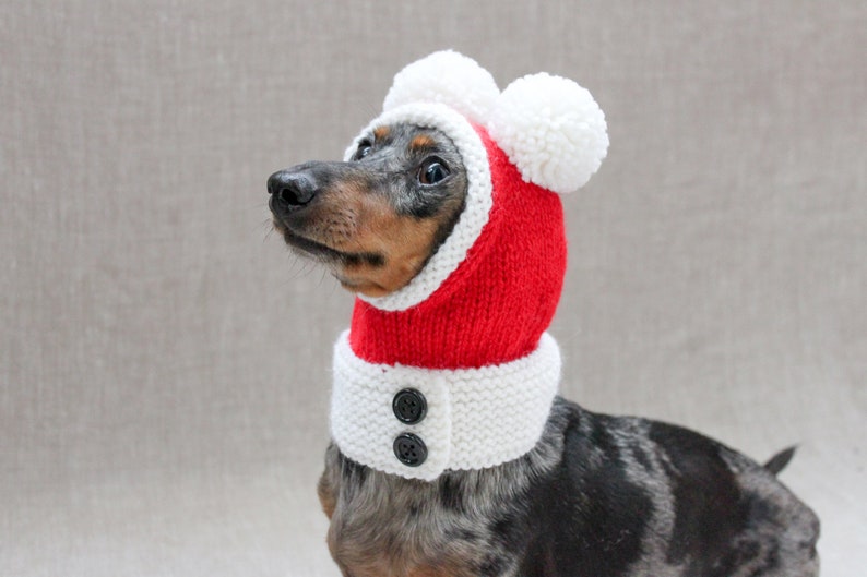 Santa Dog Hat, Dog Santa, Mini Dachshund Santa Hat, Red And White Dog Hat, Dog Gift, Dog Fashion, Dachshund Clothes, Small Dog Beanie image 4