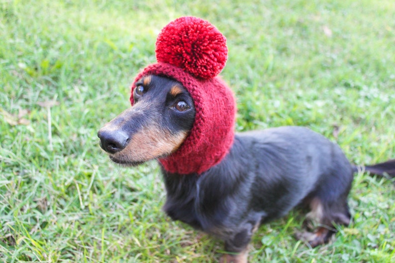 Red Dog Hat in All Natural Baby Alpaca Yarn image 1