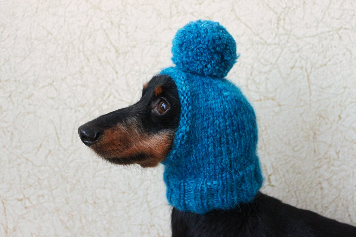 KNITTING PATTERN Pompom Dog Hat Mini Dachshund Dog Hat Etsy Canada
