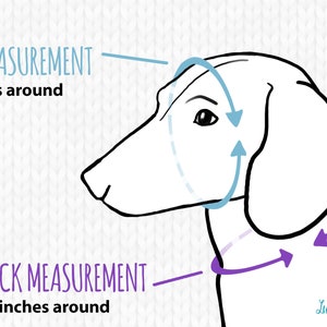 May include: Diagram showing how to measure a dog's face and neck for a knitted dog sweater. The face measurement is 10 inches around, and the neck measurement is 10 inches around.
