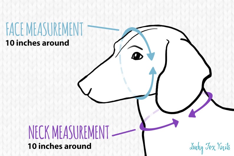 May include: Diagram showing how to measure a dog's face and neck for a knitted dog sweater. The face measurement is 10 inches around, and the neck measurement is 10 inches around.