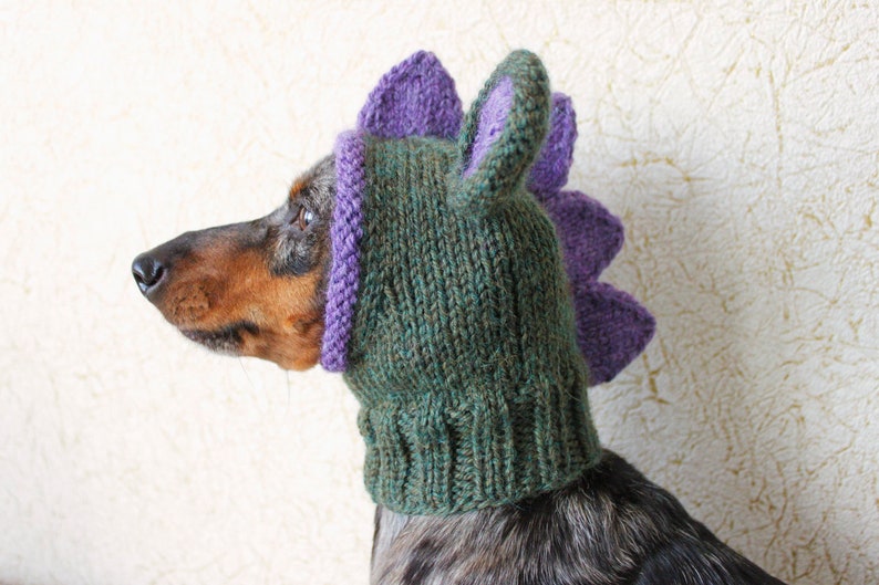 KNITTING PATTERN, Doxie Dinosaur Hat, Dog Hat, Small Dog Hat, Snood, Mini Dachshund Hat, Dino Hat, Dog Costume, Knitted Hat, Knit Pet Hat image 6