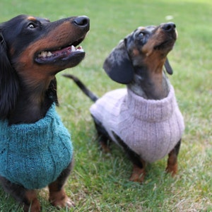 KNITTING PATTERN, Top-Down, Mini Dachshund, Dog Sweater, pet clothes, dogs, little dog, DIY project, knit, knitted, doxie, wiener dog, pets image 4