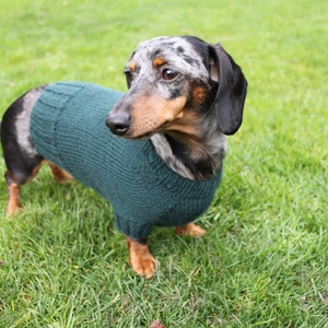 KNITTING PATTERN, Mini Dachshund, Dog Sweater, Cloud 9, pet clothes, pets, dogs, knit, knitted, DIY project, doxie, wiener dog, little dog image 6