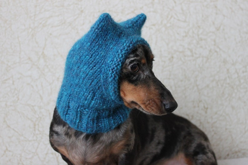 Small Dog Hat in Blue Kitty Cat Style for Mini Dachshund image 6