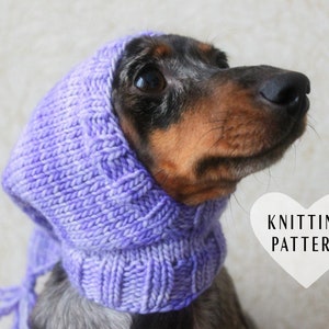 KNITTING PATTERN, Dog Hat, Pet Hat, Dachshund Hat, Mini Dachshund, Pet Clothes, Pets, Malabrigo Yarn, Knitted Hat, Knit Hat, Silly Hat, Dogs