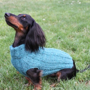 KNITTING PATTERN, Top-Down, Mini Dachshund, Dog Sweater, pet clothes, dogs, little dog, DIY project, knit, knitted, doxie, wiener dog, pets image 7
