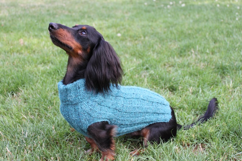 KNITTING PATTERN, Top-Down, Mini Dachshund, Dog Sweater, pet clothes, dogs, little dog, DIY project, knit, knitted, doxie, wiener dog, pets image 7