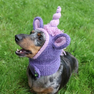 STRICKANLEITUNG, Dackel Einhorn Haube,Hundemütze,Hunde,Haustier, Haustierkostüm,Haustiere,doxie,Mini,dackel,Einhorn,Hut,Hundekleidung Bild 7