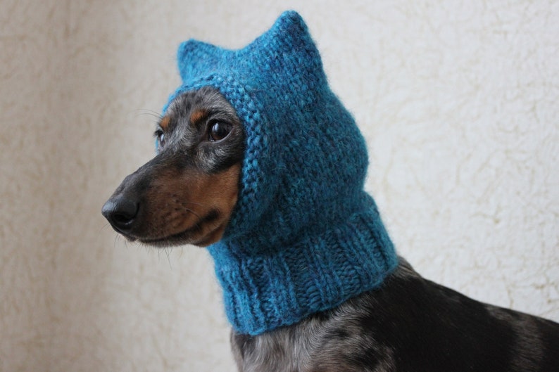 Small Dog Hat in Blue Kitty Cat Style for Mini Dachshund image 3