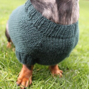 KNITTING PATTERN, Mini Dachshund, Dog Sweater, Cloud 9, pet clothes, pets, dogs, knit, knitted, DIY project, doxie, wiener dog, little dog image 8