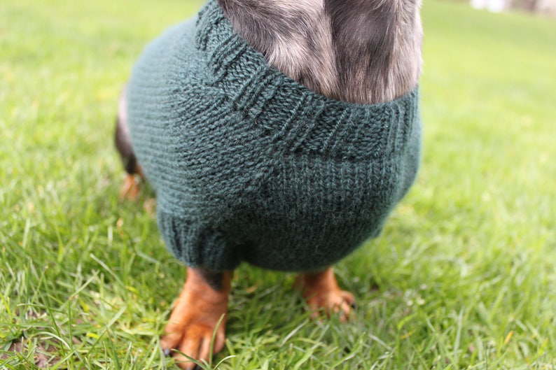 KNITTING PATTERN, Mini Dachshund, Dog Sweater, Cloud 9, pet clothes, pets, dogs, knit, knitted, DIY project, doxie, wiener dog, little dog image 8