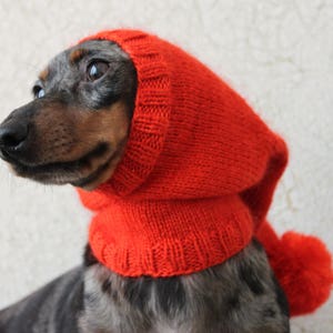 Może przedstawiać: Długowłosy pies rasy dachshund w czerwonej czapce z pomponem. Czapka ma kaptur, kt&oacute;ry zakrywa głowę i szyję psa.