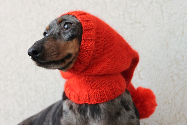 KNITTING PATTERN, Dog Hat, Dachshund Hat, Pet Clothes, Pet Hat, Wiener Dog, Dogs, Knitted Hat, Knit pet hat, Shibui Silk Cloud, Pom-pom image 8