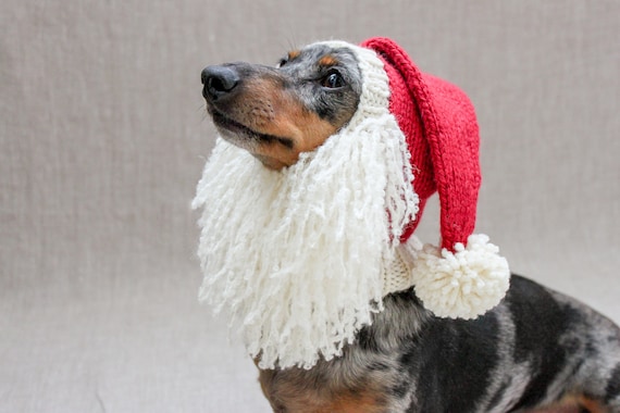 Dog xmas hat online