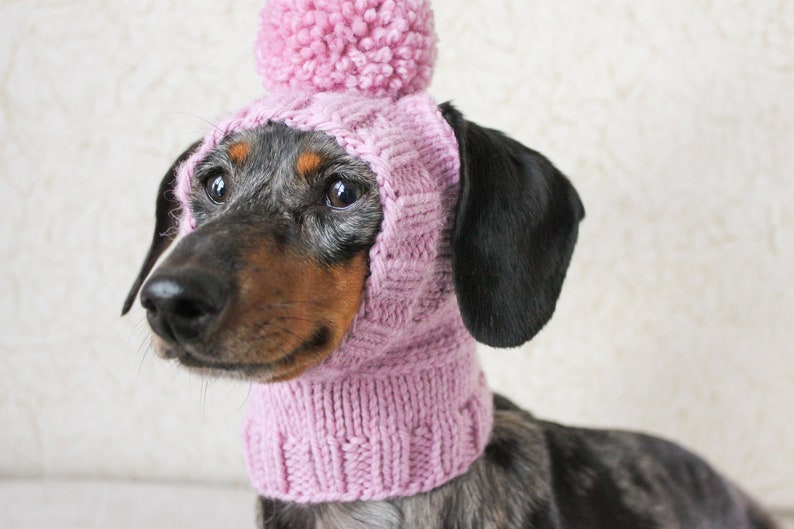 KNITTING PATTERN, Mini Dachshund Dog Hat, Small Dog Hat, Knitted Dog Hat, Dog Clothes, Dog Fashion, Dog Gift, Pet Lover Gift, Wiener Dog Hat image 7