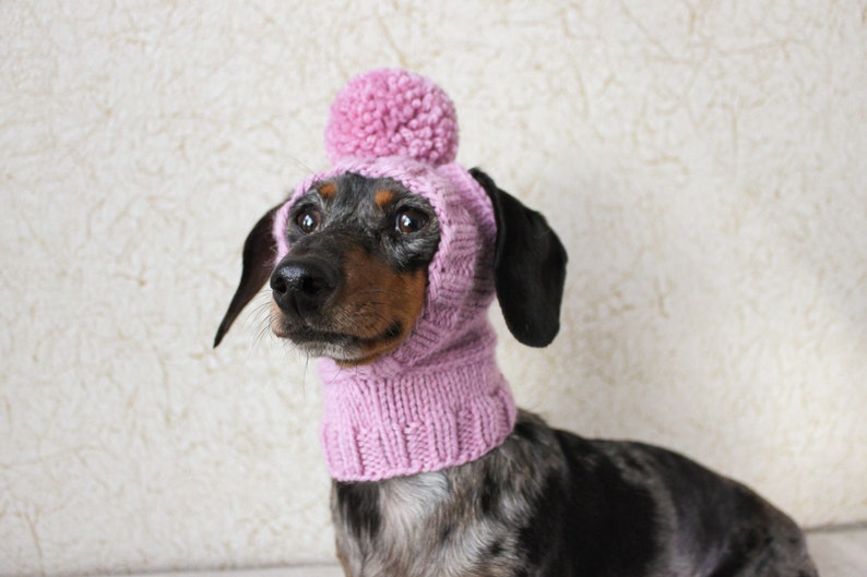 KNITTING PATTERN, Mini Dachshund Dog Hat, Small Dog Hat, Knitted Dog Hat, Dog Clothes, Dog Fashion, Dog Gift, Pet Lover Gift, Wiener Dog Hat image 9