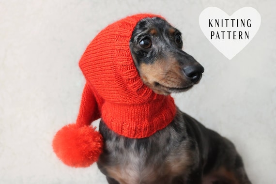 Dachshund Dog Hat Knitting Pattern: Seamless Pet Clothes (PDF Pattern)