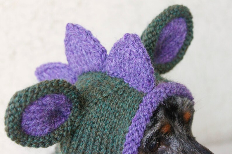 KNITTING PATTERN, Doxie Dinosaur Hat, Dog Hat, Small Dog Hat, Snood, Mini Dachshund Hat, Dino Hat, Dog Costume, Knitted Hat, Knit Pet Hat image 8