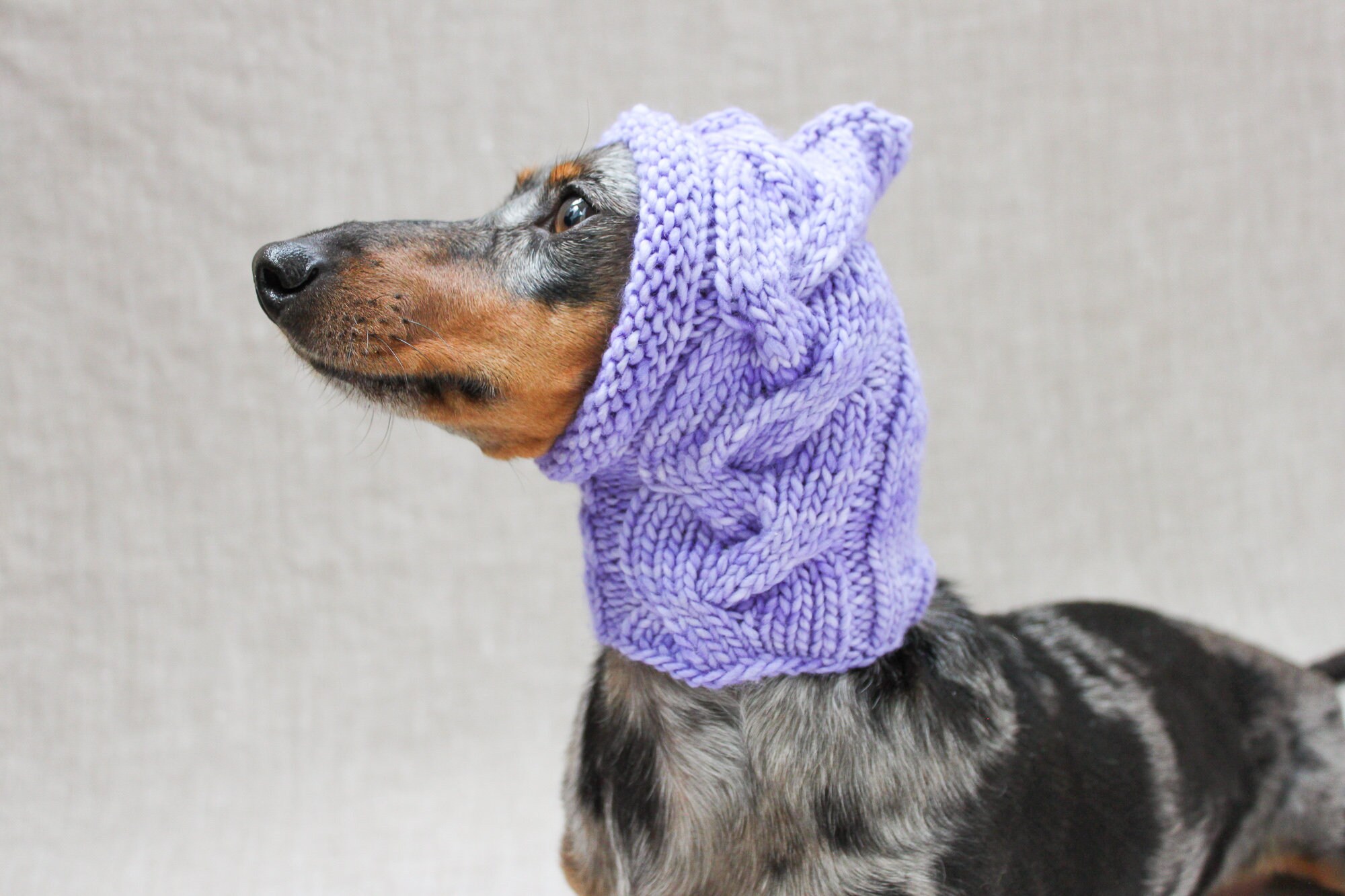 KNITTING PATTERN Cabled Dog Hat Knitted Dog Hat Dachshund Etsy