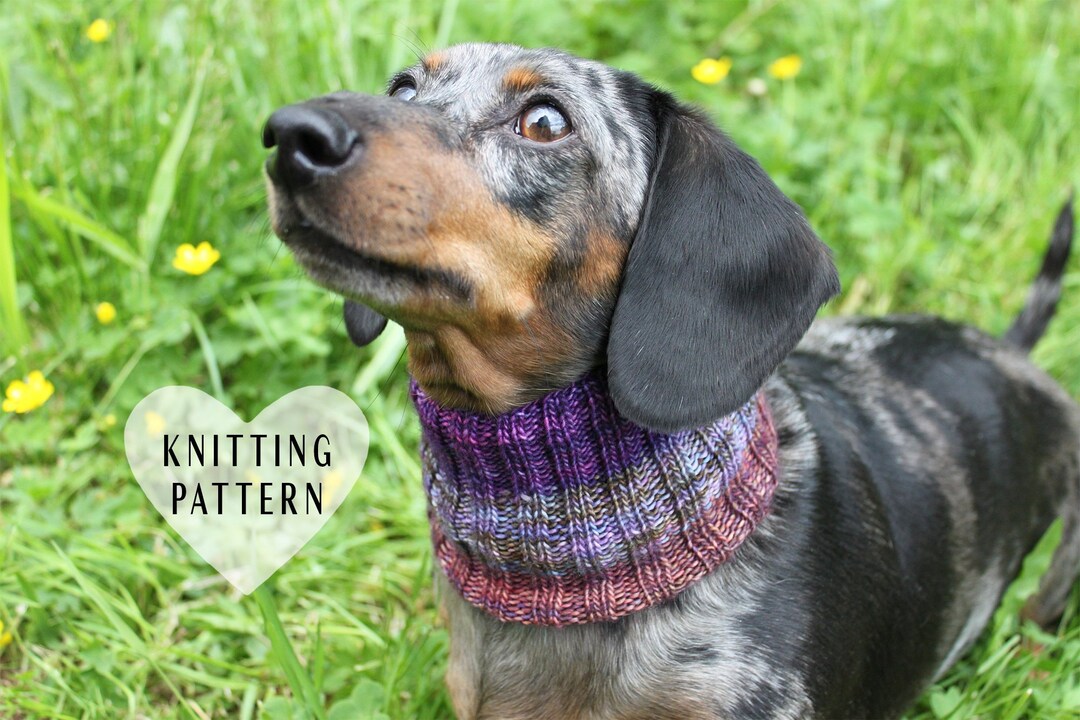 KNITTING PATTERN, Dachshund Neck Warmer, Dog Cowl, Wiener Dog, Wiener