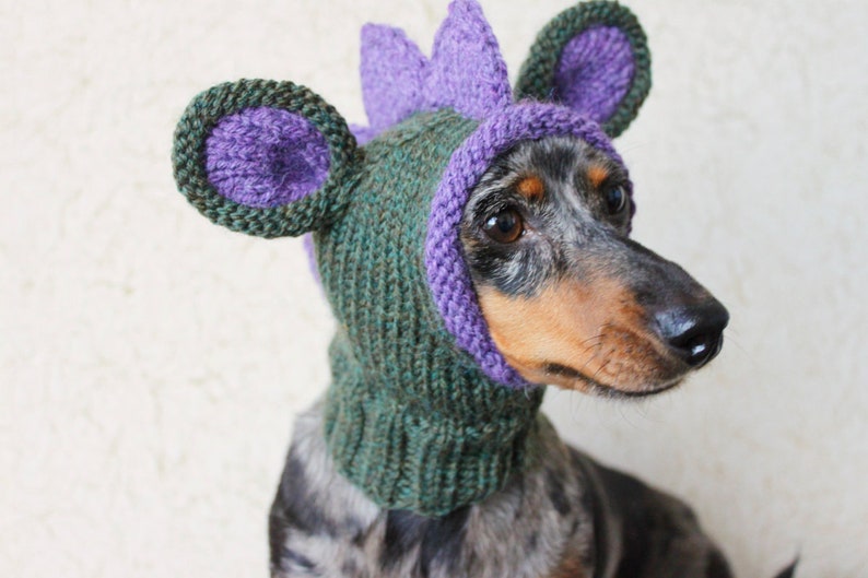 KNITTING PATTERN, Doxie Dinosaur Hat, Dog Hat, Small Dog Hat, Snood, Mini Dachshund Hat, Dino Hat, Dog Costume, Knitted Hat, Knit Pet Hat image 9