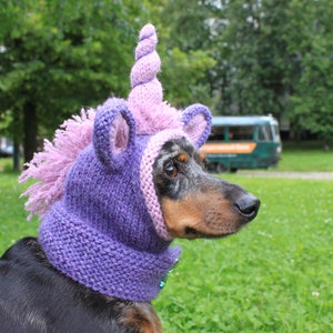 KNITTING PATTERN, Dachshund Unicorn Hood, dog hat, dogs, pet, pet costume, pets, doxie, mini, dachshund, unicorn, hat, dog clothes, dog image 2