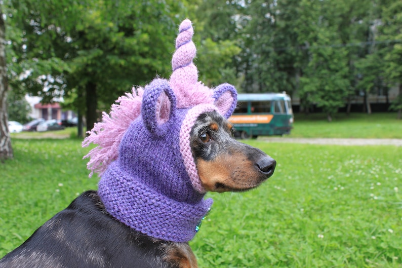 STRICKANLEITUNG, Dackel Einhorn Haube,Hundemütze,Hunde,Haustier, Haustierkostüm,Haustiere,doxie,Mini,dackel,Einhorn,Hut,Hundekleidung Bild 2