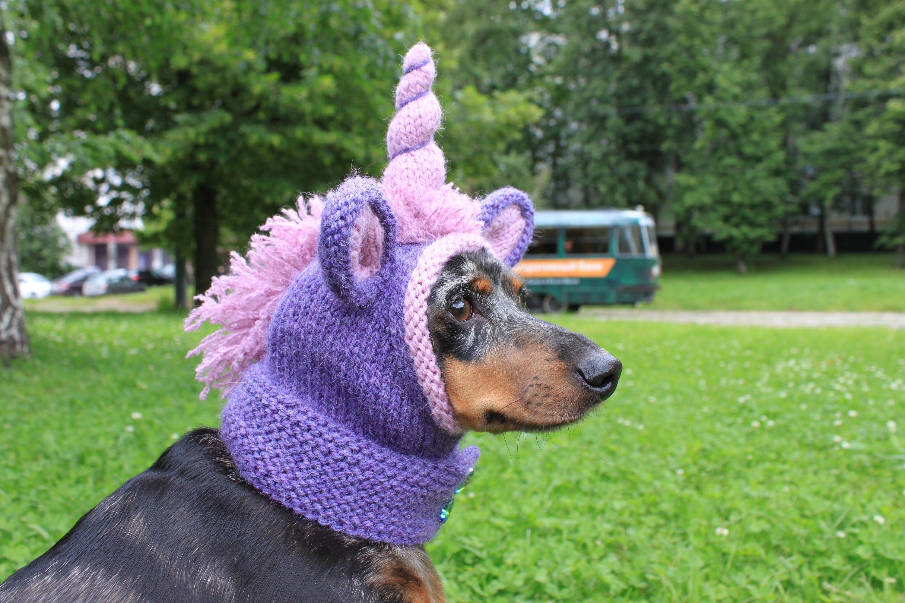 KNITTING PATTERN Dachshund Unicorn Hood Dog Hat Dogs Pet Etsy