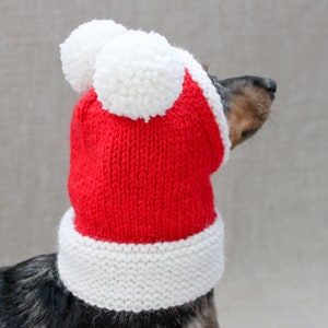 Santa Dog Hat, Dog Santa, Mini Dachshund Santa Hat, Red And White Dog Hat, Dog Gift, Dog Fashion, Dachshund Clothes, Small Dog Beanie image 9