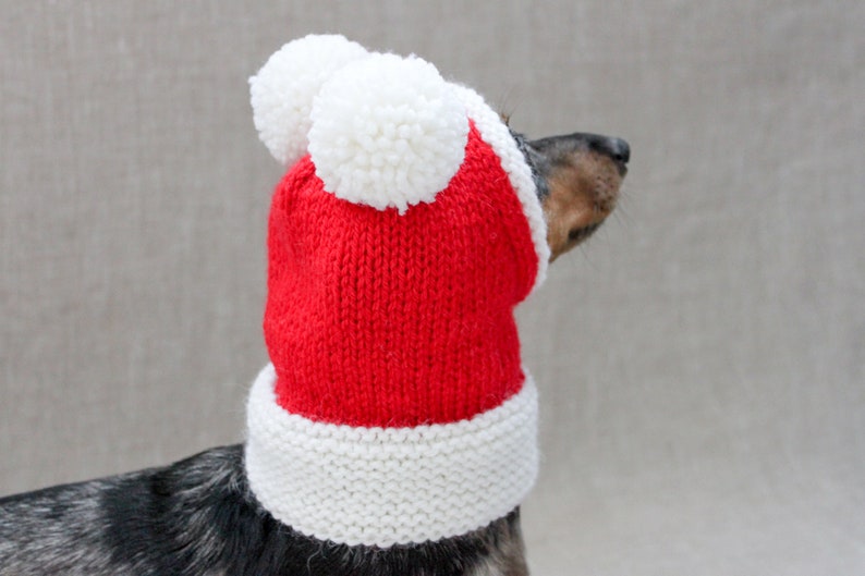 Santa Dog Hat, Dog Santa, Mini Dachshund Santa Hat, Red And White Dog Hat, Dog Gift, Dog Fashion, Dachshund Clothes, Small Dog Beanie image 9