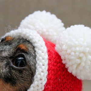 Santa Dog Hat, Dog Santa, Mini Dachshund Santa Hat, Red And White Dog Hat, Dog Gift, Dog Fashion, Dachshund Clothes, Small Dog Beanie image 7