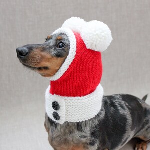 Santa Dog Hat, Dog Santa, Mini Dachshund Santa Hat, Red And White Dog Hat, Dog Gift, Dog Fashion, Dachshund Clothes, Small Dog Beanie image 2