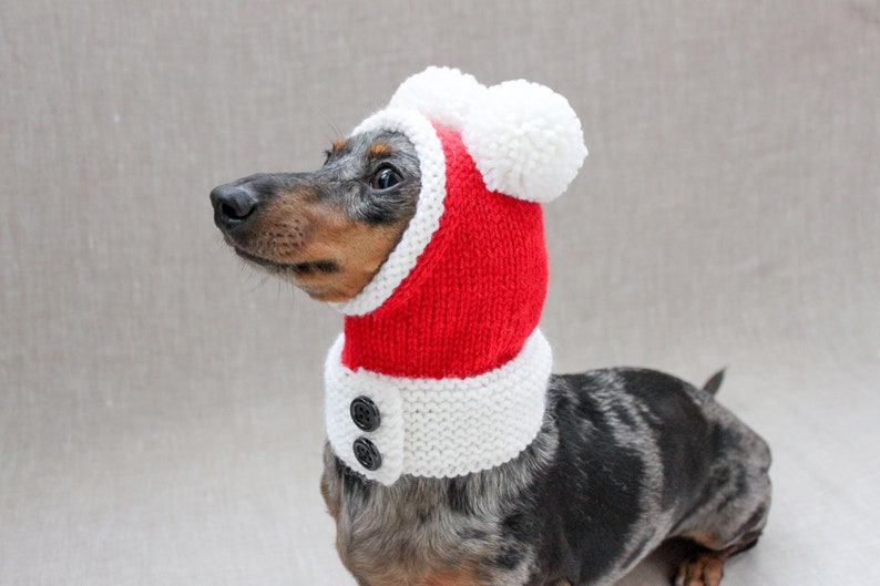 Santa Dog Hat, Dog Santa, Mini Dachshund Santa Hat, Red And White Dog Hat, Dog Gift, Dog Fashion, Dachshund Clothes, Small Dog Beanie image 2