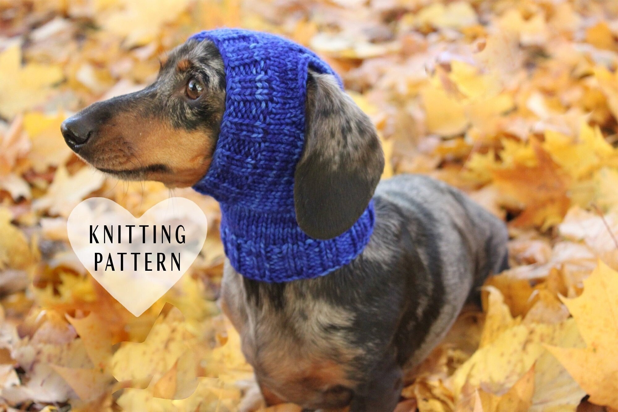 SON OF THE CHEESE みっともなかっ DOG EAR KNIT CAP BLACK SC2320-CP03