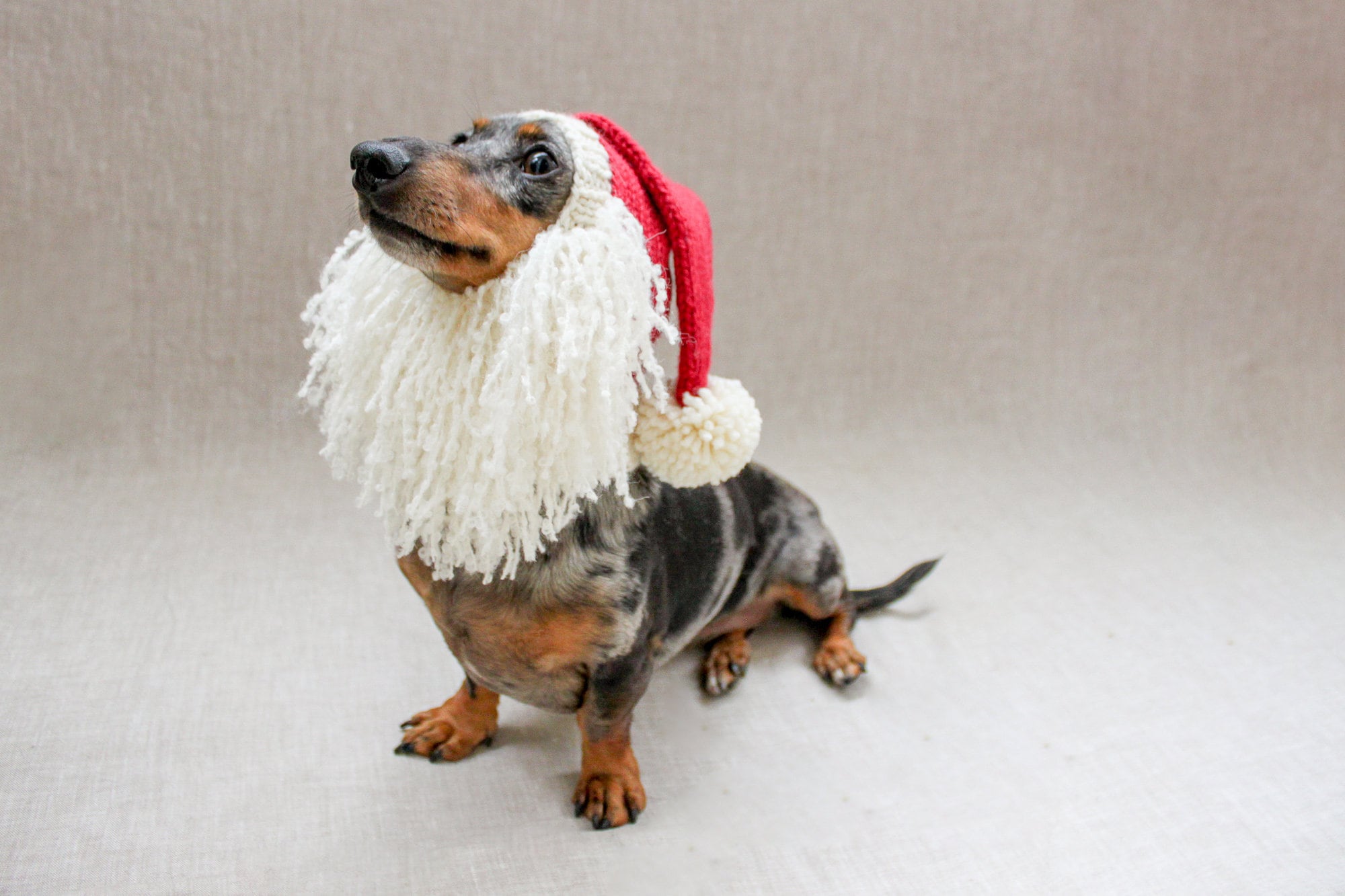 Dog santa hat and beard sales