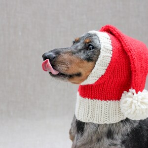 May include: A dachshund wearing a red and white knitted Santa hat with a white pom-pom. The dog is looking to the left and has its tongue sticking out.