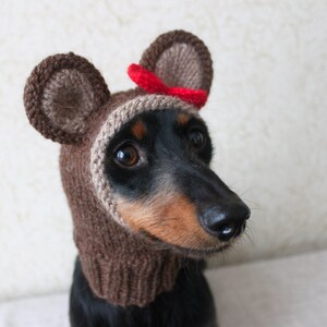 KNITTING PATTERN, Teddy Bear Dog Hat, Small Dog Bear Hat, Bear Hoodie, Bear Hood, Teddy Bear Dog Costume, Dachshund Hat, knit Doxie Hoodie image 3