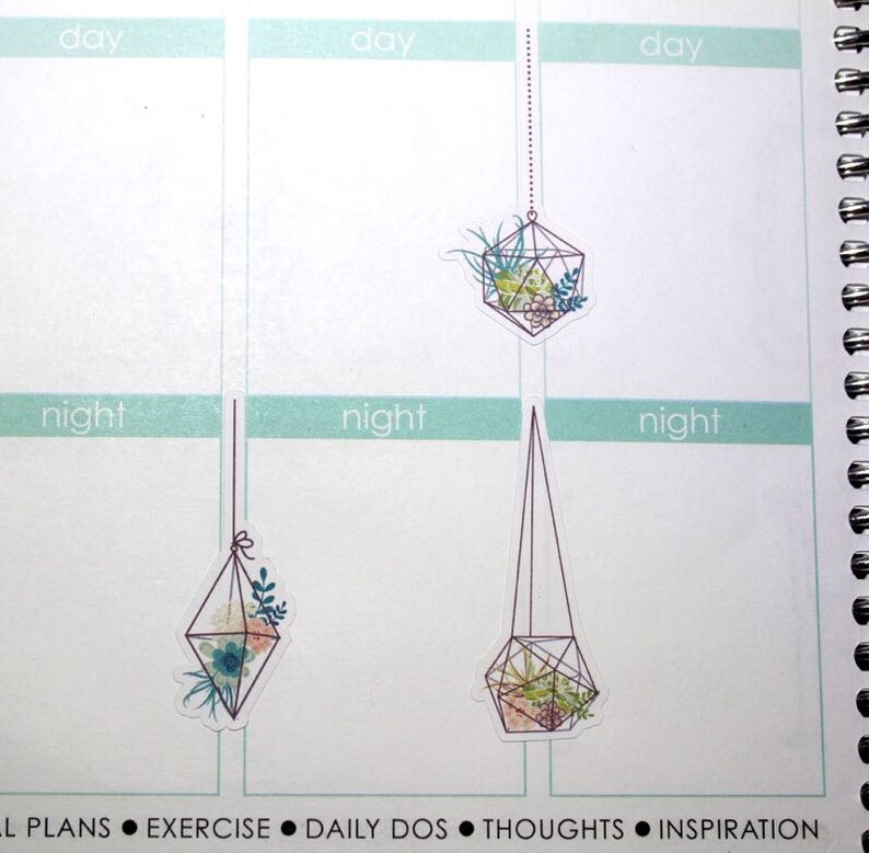 Hanging Plants / Succulents / Terrarium Stickers for Erin Condren Life Planner / Repositionable & Removable