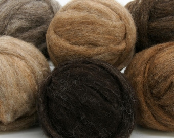 Woodland Creatures Carded Corriedale Collection, 6 Colors,  6 Ounces for Needle Felting