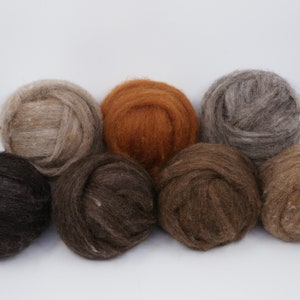 Woodland Creatures Carded Corriedale Collection, 7 Colors,  6.17  Ounces for Needle Felting