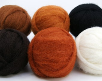 Warm Brown Carded Corriedale Collection, Six Colors, Six Ounces for Needle Felting