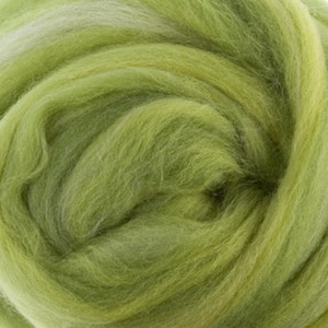 Two OuncesExtra Fine Merino Wool Roving Sugar Candy, Color Parrot