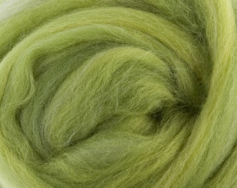 Two OuncesExtra Fine Merino Wool Roving Sugar Candy, Color Parrot