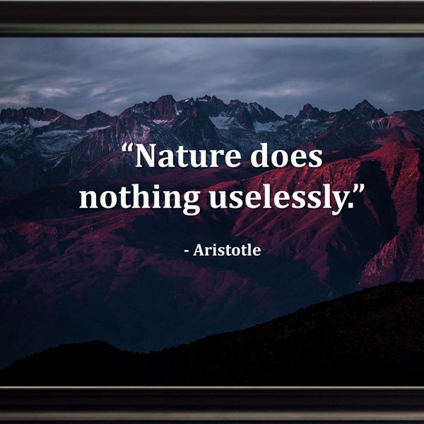 Aristoteles Natur tut Poster, Druck, Bild oder gerahmt Fotografie