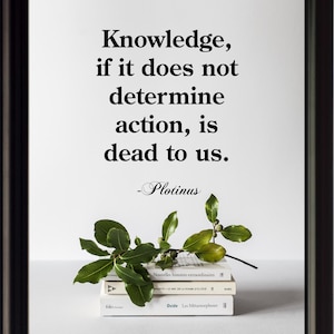 May include: A framed print with a white background and black text that reads "Knowledge, if it does not determine action, is dead to us. -Plotinus". The print is sitting on top of a stack of three books with green leaves on top.